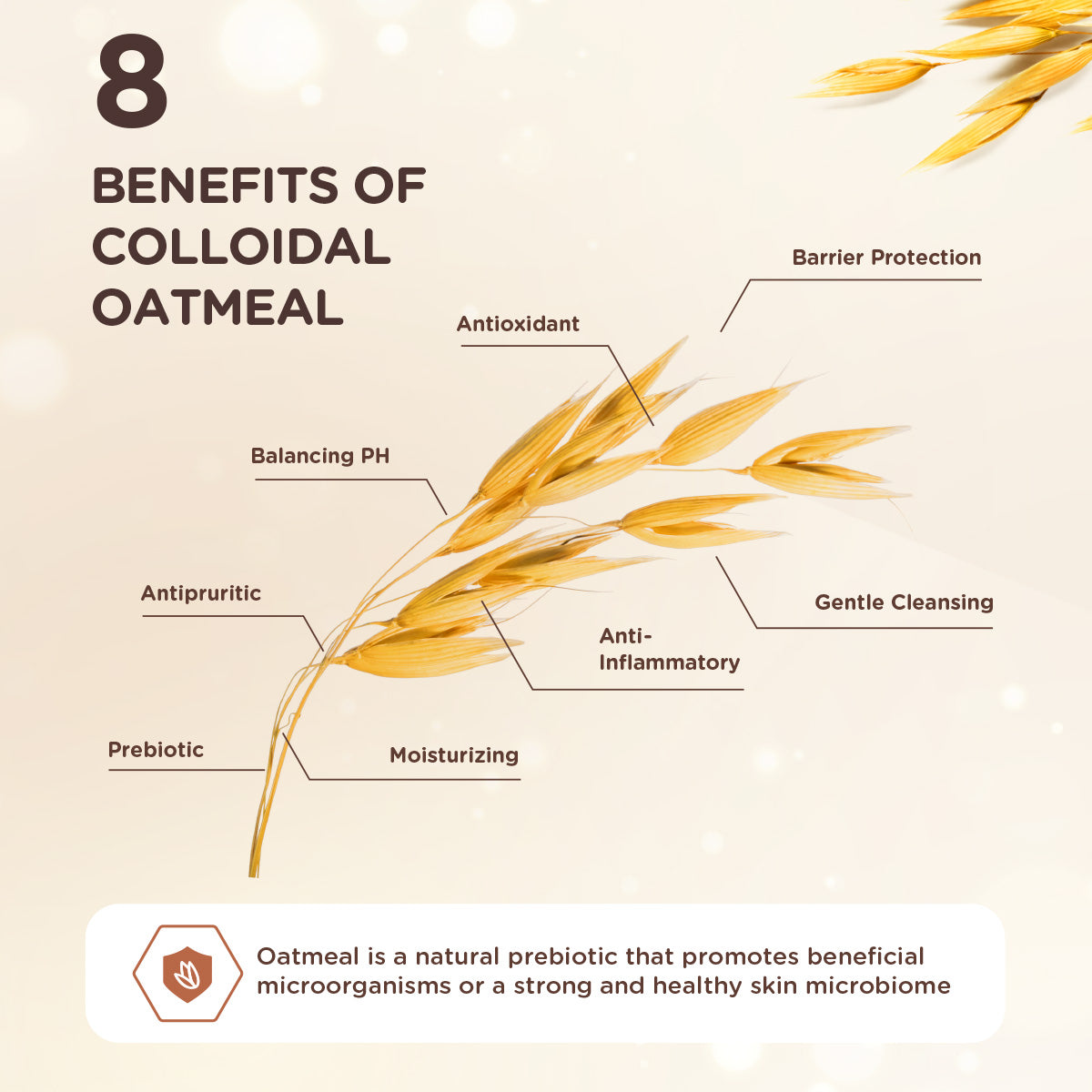 Aveeno Baby Dermexa Moisturizing Wash 236ml